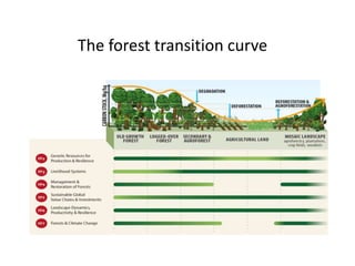 Forests, Trees and Agroforestry