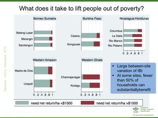 Forests, Trees and Agroforestry
