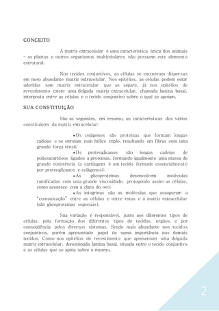 2
CONCEITO
A matriz extracelular é uma característica única dos animais
– as plantas e outros organismos multicelulares não possuem este elemento
estrutural.
Nos tecidos conjuntivos, as células se encontram dispersas
em meio abundante matriz extracelular. Nos epitélios, as células podem estar
aderidas sem matriz extracelular que as separe, já nos epitélios de
revestimento existe uma delgada matriz extracelular, chamada lamina basal,
interposta entre as células e o tecido conjuntivo sobre o qual se apoiam.
SUA CONSTITUIÇÃO
São as seguintes, em resumo, as características dos vários
constituintes da matriz extracelular:
 Os colágenos são proteínas que formam longas
cadeias e se enrolam num hélice triplo, resultando em fibras com uma
grande força tênsil;
 Os proteoglicanos são longas cadeias de
polissacarídeos ligados a proteínas, formando igualmente uma massa de
grande resistência (a cartilagem é um tecido formado essencialmente
por proteoglicanos e colágenos);
 As glicoproteínas desenvolvem moléculas
ramificadas com uma grande viscosidade, protegendo assim as células,
como acontece com a clara do ovo;
 As integrinas são as moléculas que asseguram a
“comunicação” entre as células e entre estas e a matriz extracelular
(são glicoproteínas especiais).
Sua variação é responsável, junto aos diferentes tipos de
células, pela formação dos diferentes tipos de tecidos, órgãos, e por
conseqüência pelos diversos sistemas. Sendo mais abundante nos tecidos
conjuntivos, porém apresentado papel de suma importância nos demais
tecidos. Como nos epitélios de revestimento que apresentam uma delgada
matriz extracelular, denominada lamina basal, situada entre o tecido conjuntivo
e as células que se apóia sobre o mesmo.
 