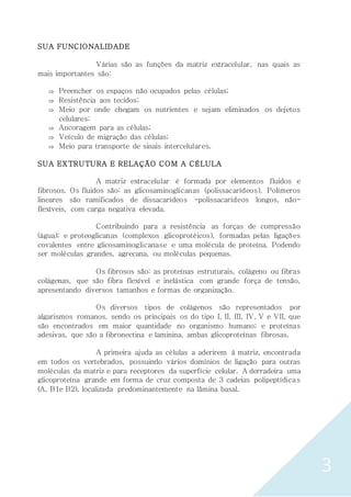 3
SUA FUNCIONALIDADE
Várias são as funções da matriz extracelular, nas quais as
mais importantes são:
 Preencher os espaços não ocupados pelas células;
 Resistência aos tecidos;
 Meio por onde chegam os nutrientes e sejam eliminados os dejetos
celulares;
 Ancoragem para as células;
 Veículo de migração das células;
 Meio para transporte de sinais intercelulares.
SUA EXTRUTURA E RELAÇÃO COM A CÉLULA
A matriz extracelular é formada por elementos fluidos e
fibrosos. Os fluidos são: as glicosaminoglicanas (polissacarídeos), Polímeros
lineares são ramificados de dissacarídeos -polissacarídeos longos, não-
flexíveis, com carga negativa elevada.
Contribuindo para a resistência as forças de compressão
(água); e proteoglicanas (complexos glicoprotéicos), formadas pelas ligações
covalentes entre glicosaminoglicanase e uma molécula de proteína. Podendo
ser moléculas grandes, agrecana, ou moléculas pequenas.
Os fibrosos são: as proteínas estruturais, colágeno ou fibras
colágenas, que são fibra flexível e inelástica com grande força de tensão,
apresentando diversos tamanhos e formas de organização.
Os diversos tipos de colágenos são representados por
algarismos romanos, sendo os principais os do tipo I, II, III, IV, V e VII, que
são encontrados em maior quantidade no organismo humano; e proteínas
adesivas, que são a fibronectina e laminina, ambas glicoproteínas fibrosas.
A primeira ajuda as células a aderirem à matriz, encontrada
em todos os vertebrados, possuindo vários domínios de ligação para outras
moléculas da matriz e para receptores da superfície celular. A derradeira uma
glicoproteína grande em forma de cruz composta de 3 cadeias polipeptídicas
(A, B1e B2), localizada predominantemente na lâmina basal.
 