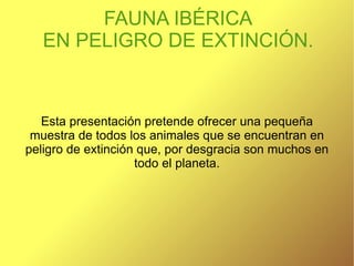 FAUNA IBÉRICA EN PELIGRO DE EXTINCIÓN. Esta presentación pretende ofrecer una pequeña muestra de todos los animales que se encuentran en peligro de extinción que, por desgracia son muchos en todo el planeta. 