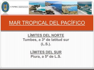 LÍMITES DEL NORTE
Tumbes, a 3º de latitud sur
(L.S.).
LÍMITES DEL SUR
Piura, a 5º de L.S.
MAR TROPICAL DEL PACÍFICO
 