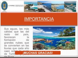 IMPORTANCIA
Sus aguas, las más
cálidas que las del
resto del país,
favorecen la
formación de
grandes nubes que
se convierten en las
lluvias que cada año
caen sobre la costa
de Tumbes y parte
de Piura.
¡MUCHAS GRACIAS!
 