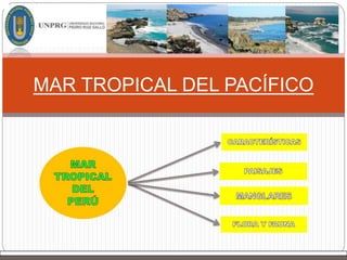 MAR TROPICAL DEL PACÍFICO
 
