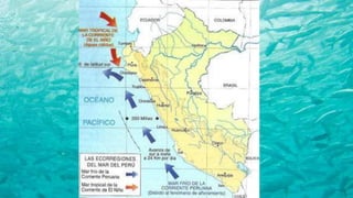 ECORREGIONES: Mar tropical del perú