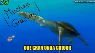 ECORREGIONES: Mar tropical del perú