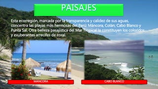 Esta ecorregión, marcada por la transparencia y calidez de sus aguas,
concentra las playas más hermosas del Perú: Máncora, Colán, Cabo Blanco y
Punta Sal. Otra belleza pasajística del Mar Tropical la constituyen los coloridos
y exuberantes arrecifes de coral.
MANCORA CABO BLANCO
 
