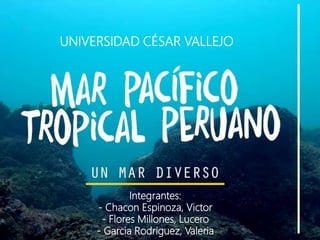 UNIVERSIDAD CÉSAR VALLEJO
Integrantes:
- Chacon Espinoza, Victor
- Flores Millones, Lucero
- Garcia Rodriguez, Valeria
 