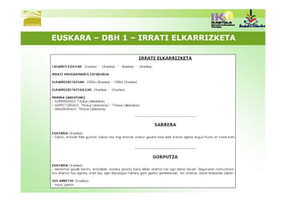 EUSKARA – DBH 1 – IRRATI ELKARRIZKETA
 