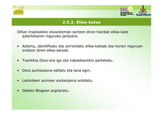 2.5.2. Elika-katea

Oihan tropikaleko ekosisteman sortzen diren hainbat elika-kate
   azterketaren inguruko jarduera.

• Aztertu, identifikatu eta zerrendatu elika-kateak eta horien inguruan
  eratzen diren elika-sareak.

• Txantiloa Docs-era igo eta irakaslearekin partekatu.

• Docs aurkezpena editatu eta lana egin.

• Lankideen aurrean aurkezpena antolatu.

• Gelako Blogean argitaratu.
 