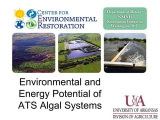 Environmental and
Energy Potential of
ATS Algal Systems
 