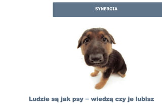 SYNERGIA




Ludzie są jak psy – wiedzą czy je lubisz
 