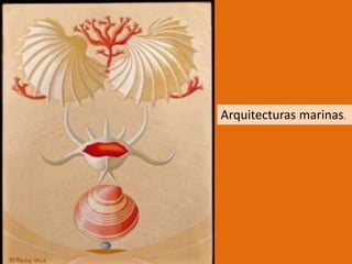 Arquitecturas marinas.
 