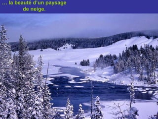 … la beauté d’un paysage de neige.