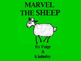 MARVEL  THE  SHEEP By Paige & Kimberley 