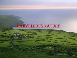 Marvellous nature
 