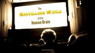 The Marvellous World of the Human Brain
