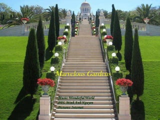 Marvelous Gardens
 