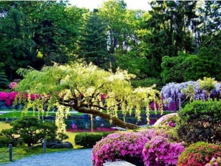 Marvelous gardens