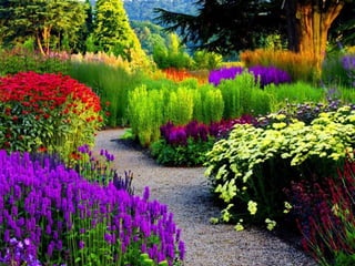 Marvelous gardens