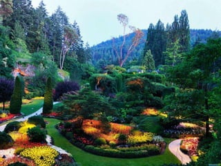 Marvelous gardens