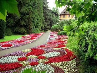 Marvelous gardens