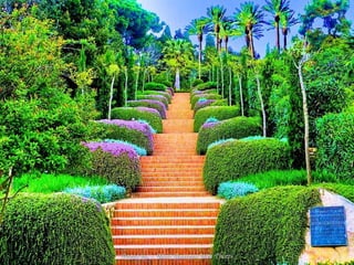 Marvelous gardens