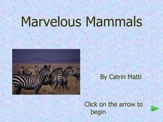 Marvelous Mammals ,[object Object],[object Object]
