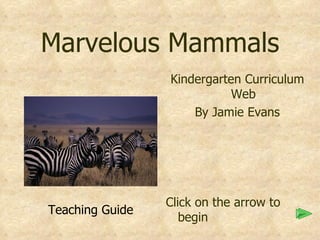 Marvelous Mammals Kindergarten Curriculum Web By Jamie Evans Click on the arrow to begin Teaching Guide 