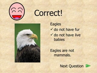 Correct! Eagles do not have fur do not have live babies Eagles are not mammals. Next Question 