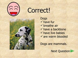 Correct! Dogs have fur breathe air have a backbone have live babies are warm blooded Dogs are mammals.   Next Question 