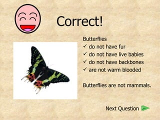 Correct! Butterflies do not have fur do not have live babies do not have backbones are not warm blooded Butterflies are not mammals.   Next Question 