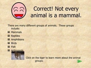 Correct! Not every animal is a mammal. There are many different groups of animals.  These groups include: Mammals Reptiles Amphibians Birds Fish Arthropods Click on the tiger to learn more about the  animal  groups. 