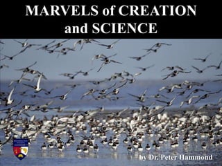 MARVELS of CREATION
and SCIENCE
by Dr. Peter Hammond
 