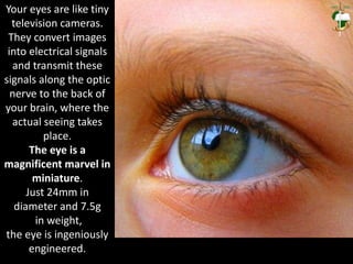 Your eyes are like tiny
television cameras.
They convert images
into electrical signals
and transmit these
signals along the optic
nerve to the back of
your brain, where the
actual seeing takes
place.
The eye is a
magnificent marvel in
miniature.
Just 24mm in
diameter and 7.5g
in weight,
the eye is ingeniously
engineered.
 