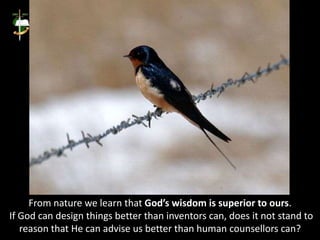 From nature we learn that God’s wisdom is superior to ours.
If God can design things better than inventors can, does it not stand to
reason that He can advise us better than human counsellors can?
 