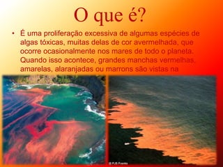 O que é?
• É uma proliferação excessiva de algumas espécies de
algas tóxicas, muitas delas de cor avermelhada, que
ocorre ocasionalmente nos mares de todo o planeta.
Quando isso acontece, grandes manchas vermelhas,
amarelas, alaranjadas ou marrons são vistas na
superfície da água
 