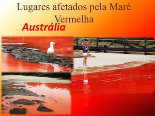 Lugares afetados pela Maré
Vermelha
Austrália
 