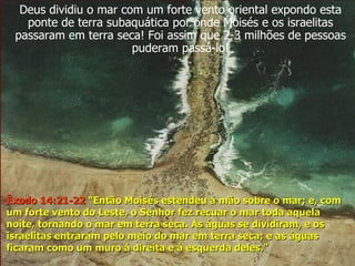 Deus dividiu o mar com um forte vento oriental expondo esta ponte de terra subaquática por onde Moisés e os israelitas passaram em terra seca! Foi assim que 2-3 milhões de pessoas puderam passá-lo! Êxodo 14:21-22  “Então Moisés estendeu a mão sobre o mar; e, com um forte vento do Leste, o Senhor fez recuar o mar toda aquela noite, tornando o mar em terra seca. As águas se dividiram, e os israelitas entraram pelo meio do mar em terra seca; e as águas ficaram como um muro à direita e à esquerda deles.”  