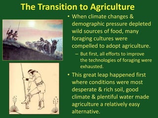 The Transition to Agriculture
• When climate changes &
demographic pressure depleted
wild sources of food, many
foraging cultures were
compelled to adopt agriculture.
– But first, all efforts to improve
the technologies of foraging were
exhausted.
• This great leap happened first
where conditions were most
desperate & rich soil, good
climate & plentiful water made
agriculture a relatively easy
alternative.
 