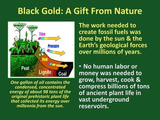 Black Gold: A Gift From Nature
The work needed to
create fossil fuels was
done by the sun & the
Earth’s geological forces
over millions of years.
• No human labor or
money was needed to
grow, harvest, cook &
compress billions of tons
of ancient plant life in
vast underground
reservoirs.
One gallon of oil contains the
condensed, concentrated
energy of about 98 tons of the
original prehistoric plant life
that collected its energy over
millennia from the sun.
 