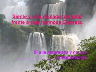 Siente y vive el placer de estar frente a esta hermosa Catarata. Si a la naturaleza y no a la  contaminación.. 