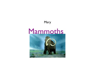 Mary


Mammoths
 