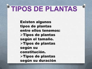 TIPOS DE PLANTAS
  Existen algunos
  tipos de plantas
  entre ellos tenemos:
  Tipos de plantas
  según el tamaño.
  Tipos de plantas
  según su
  constitución.
  Tipos de plantas
  según su duración.
 