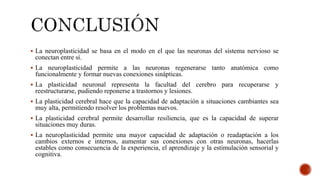  La neuroplasticidad se basa en el modo en el que las neuronas del sistema nervioso se
conectan entre sí.
 La neuroplasticidad permite a las neuronas regenerarse tanto anatómica como
funcionalmente y formar nuevas conexiones sinápticas.
 La plasticidad neuronal representa la facultad del cerebro para recuperarse y
reestructurarse, pudiendo reponerse a trastornos y lesiones.
 La plasticidad cerebral hace que la capacidad de adaptación a situaciones cambiantes sea
muy alta, permitiendo resolver los problemas nuevos.
 La plasticidad cerebral permite desarrollar resiliencia, que es la capacidad de superar
situaciones muy duras.
 La neuroplasticidad permite una mayor capacidad de adaptación o readaptación a los
cambios externos e internos, aumentar sus conexiones con otras neuronas, hacerlas
estables como consecuencia de la experiencia, el aprendizaje y la estimulación sensorial y
cognitiva.
 