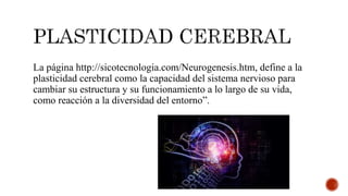 La página http://sicotecnologia.com/Neurogenesis.htm, define a la
plasticidad cerebral como la capacidad del sistema nervioso para
cambiar su estructura y su funcionamiento a lo largo de su vida,
como reacción a la diversidad del entorno”.
 