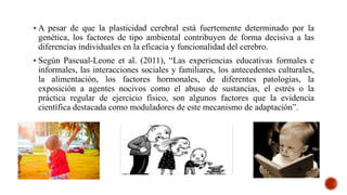  A pesar de que la plasticidad cerebral está fuertemente determinado por la
genética, los factores de tipo ambiental contribuyen de forma decisiva a las
diferencias individuales en la eficacia y funcionalidad del cerebro.
 Según Pascual-Leone et al. (2011), “Las experiencias educativas formales e
informales, las interacciones sociales y familiares, los antecedentes culturales,
la alimentación, los factores hormonales, de diferentes patologías, la
exposición a agentes nocivos como el abuso de sustancias, el estrés o la
práctica regular de ejercicio físico, son algunos factores que la evidencia
científica destacada como moduladores de este mecanismo de adaptación”.
 