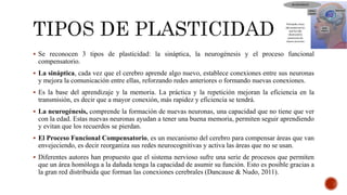  Se reconocen 3 tipos de plasticidad: la sináptica, la neurogénesis y el proceso funcional
compensatorio.
 La sináptica, cada vez que el cerebro aprende algo nuevo, establece conexiones entre sus neuronas
y mejora la comunicación entre ellas, reforzando redes anteriores o formando nuevas conexiones.
 Es la base del aprendizaje y la memoria. La práctica y la repetición mejoran la eficiencia en la
transmisión, es decir que a mayor conexión, más rapidez y eficiencia se tendrá.
 La neurogénesis, comprende la formación de nuevas neuronas, una capacidad que no tiene que ver
con la edad. Estas nuevas neuronas ayudan a tener una buena memoria, permiten seguir aprendiendo
y evitan que los recuerdos se pierdan.
 El Proceso Funcional Compensatorio, es un mecanismo del cerebro para compensar áreas que van
envejeciendo, es decir reorganiza sus redes neurocognitivas y activa las áreas que no se usan.
 Diferentes autores han propuesto que el sistema nervioso sufre una serie de procesos que permiten
que un área homóloga a la dañada tenga la capacidad de asumir su función. Esto es posible gracias a
la gran red distribuida que forman las conexiones cerebrales (Dancause & Nudo, 2011).
 