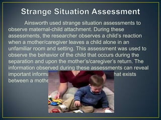 Ainsworth used strange situation assessments to
observe maternal-child attachment. During these
assessments, the researcher observes a child’s reaction
when a mother/caregiver leaves a child alone in an
unfamiliar room and setting. This assessment was used to
observe the behavior of the child that occurs during the
separation and upon the mother’s/caregiver’s return. The
information observed during these assessments can reveal
important information about the attachment that exists
between a mother and child.
 