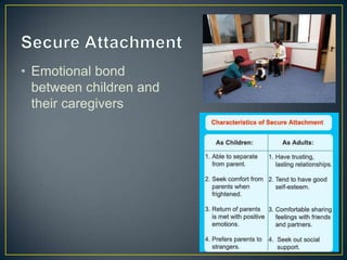 Mary Ainsworth Attachment Theory